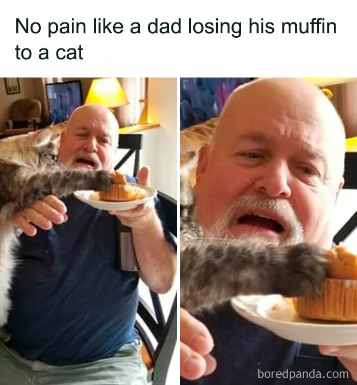 Cute-Cats-Pics-Jokes-Catsandsmiles