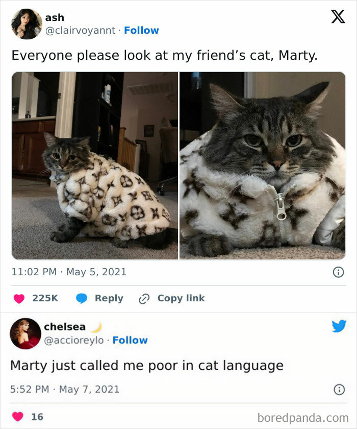 Cute-Cats-Pics-Jokes-Catsandsmiles