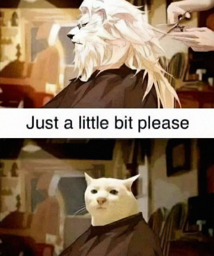 Cute-Cats-Pics-Jokes-Catsandsmiles