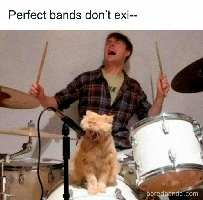 Cute-Cats-Pics-Jokes-Catsandsmiles