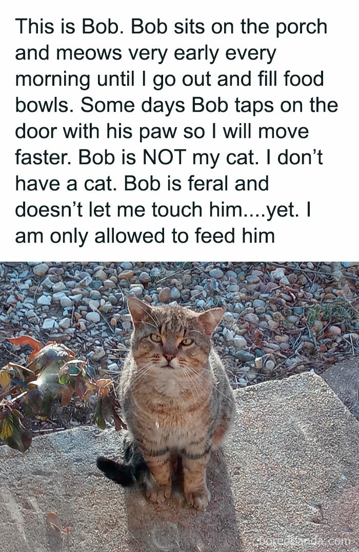 Cute-Cats-Pics-Jokes-Catsandsmiles