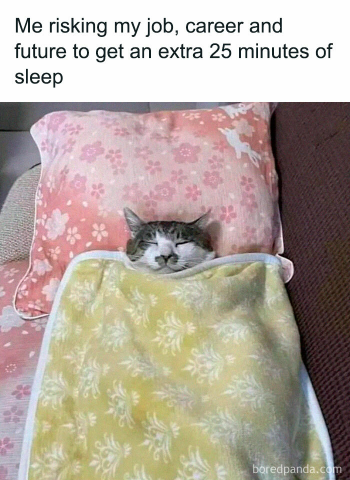 Cute-Cats-Pics-Jokes-Catsandsmiles