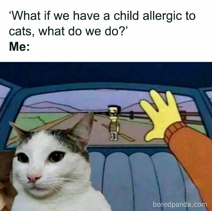 Cute-Cats-Pics-Jokes-Catsandsmiles