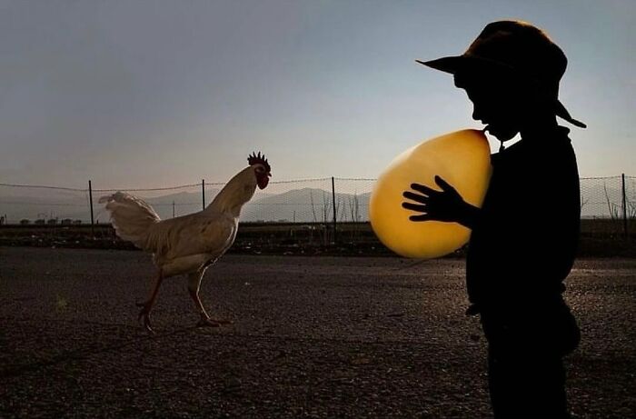 Here Are 44 Of The Most Interesting Images Selected By This Instagram Page