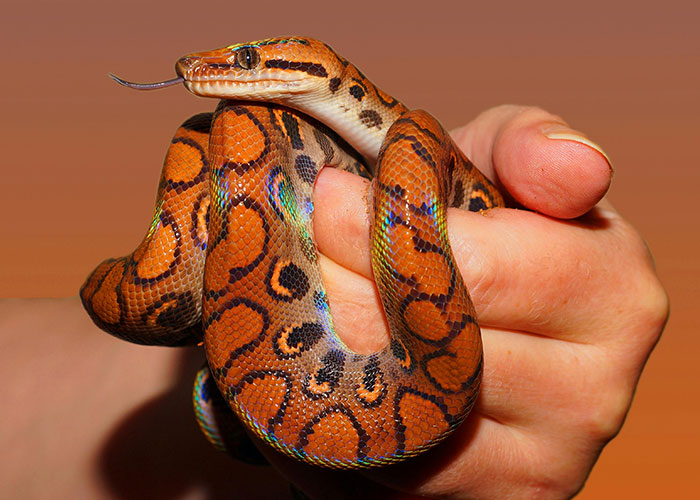 26 Estupideces que la gente dijo con toda seriedad