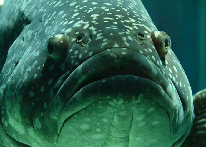 “Her Own Name”: 40 Tattoos That Really Did Not Have Enough Thought Put Into Them