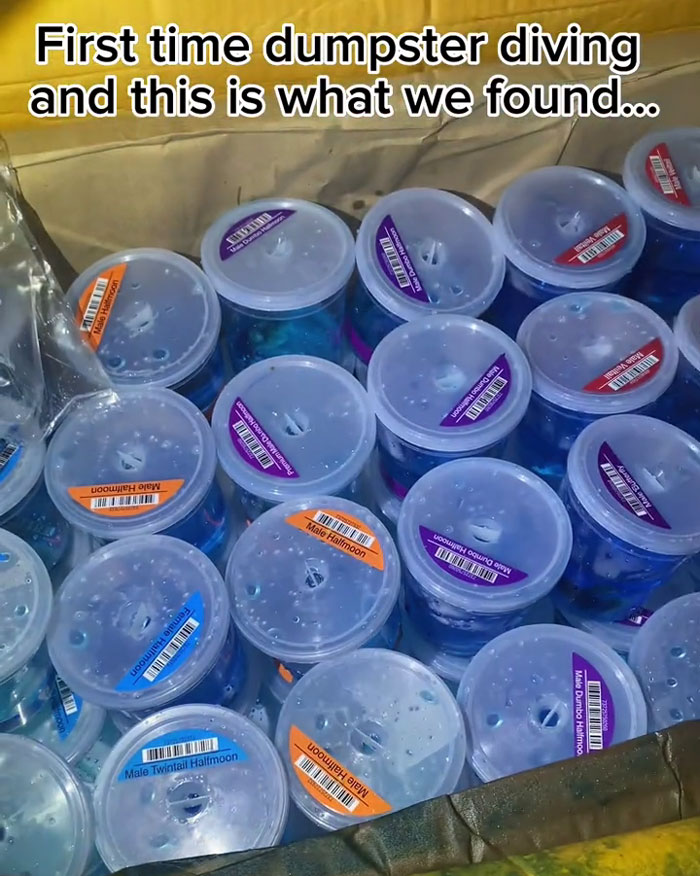 Dumpster Diver Finds Dozens Of Live Fish Just Tossed Away Behind A PetSmart, Netizens Outraged Dumpster Diver Finds Dozens Of Live Fish Just Tossed Away Behind A PetSmart, Netizens Outraged