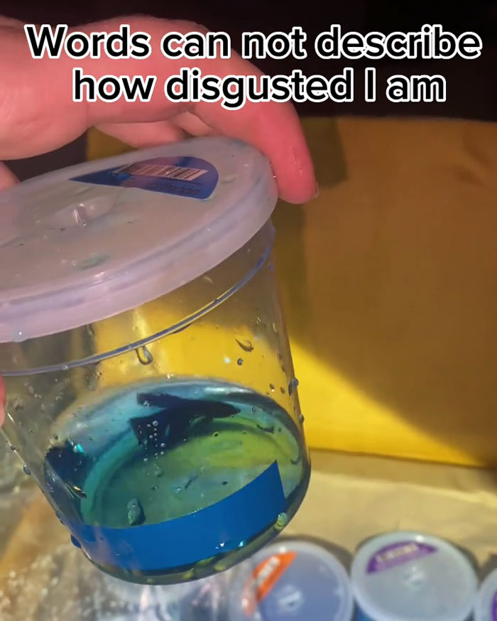 Dumpster Diver Finds Dozens Of Live Fish Just Tossed Away Behind A PetSmart, Netizens Outraged Dumpster Diver Finds Dozens Of Live Fish Just Tossed Away Behind A PetSmart, Netizens Outraged