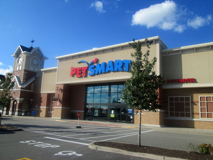 Dumpster Diver Finds Dozens Of Live Fish Just Tossed Away Behind A PetSmart, Netizens Outraged Dumpster Diver Finds Dozens Of Live Fish Just Tossed Away Behind A PetSmart, Netizens Outraged