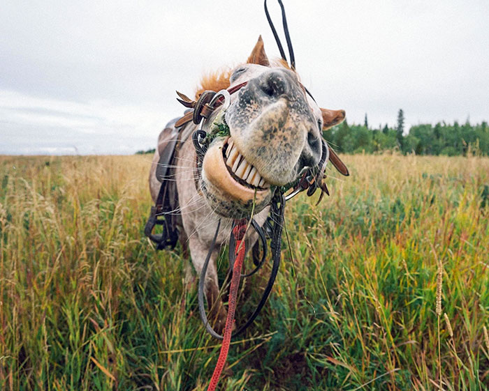 Took A Road Trip To Northern BC And The Burnie Glacier In The Howson Range