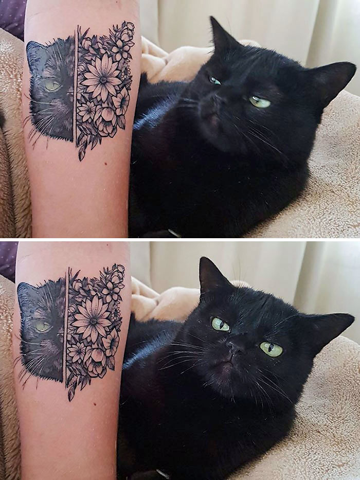 Black cat with matching tattoo expression, showcasing funny animal expressions.