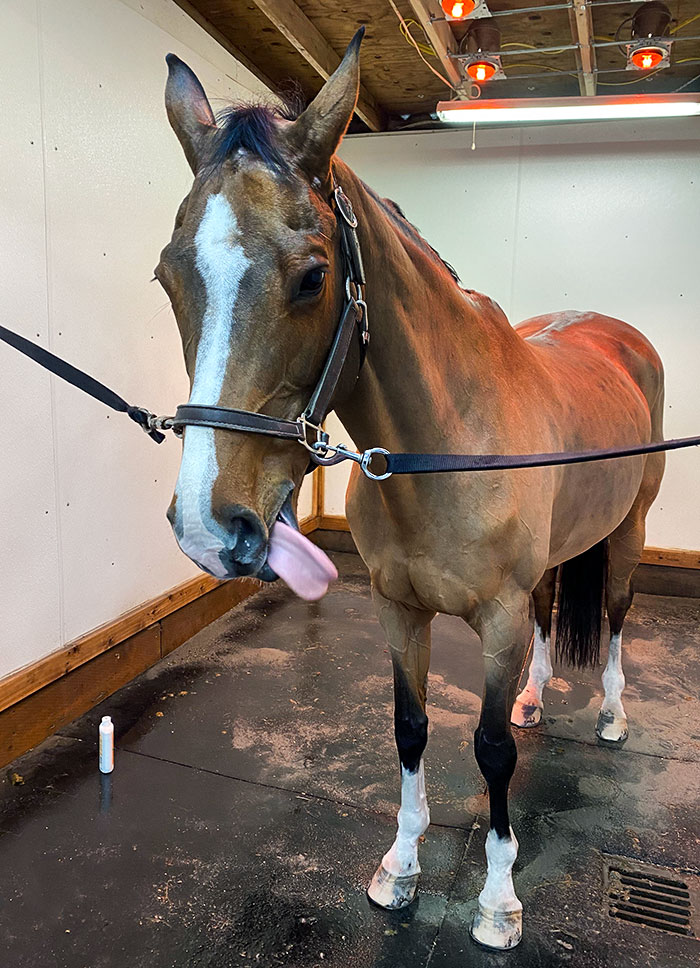 This Is The Best Picture I've Ever Gotten Of Her. She Never Makes A Normal Face For A Camera