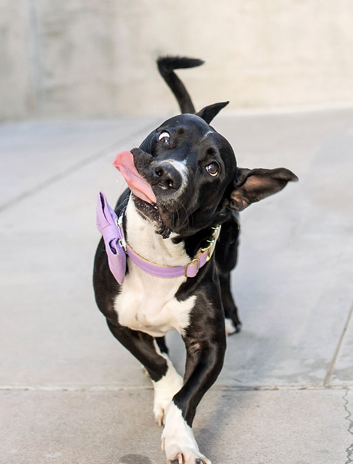 Wife Snapped This At The Perfect Derp Moment