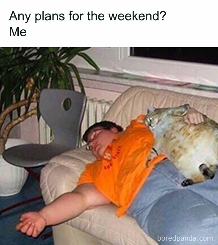 Person in orange shirt lying on couch with a cat resting on their side, illustrating popular animal memes for therapy.