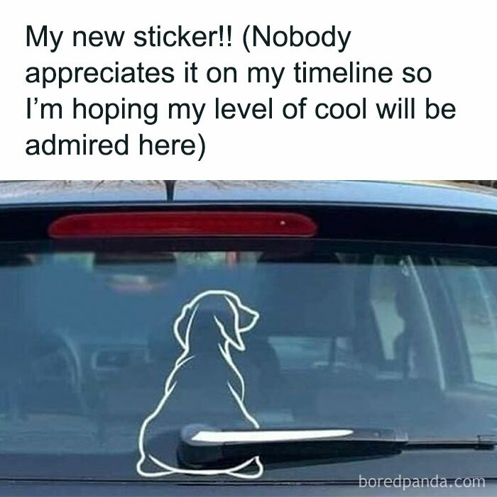 Car rear window with a dog-shaped sticker integrated with a wiper, a humorous animal meme popular for therapy.