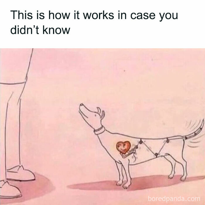 Illustration showing a dog with a heart-shaped valve pumping joy, highlighting animal memes better than therapy.