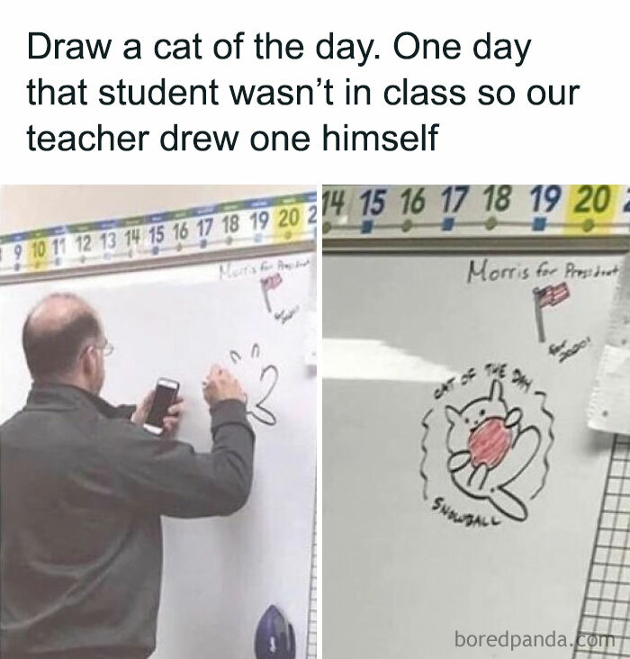 Teacher drawing a funny animal meme of the day on whiteboard, showing a simple cat sketch with a snowball.