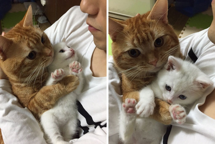 "Look Human, The Baby I Made"