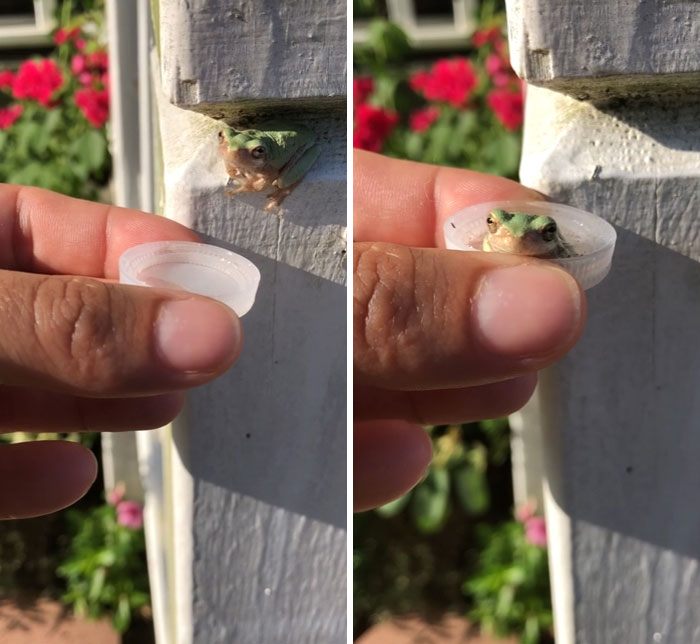 Heat Index Was 110 Degrees So We Offered Him A Cold Drink. He Went For A Full-Body Soak Instead