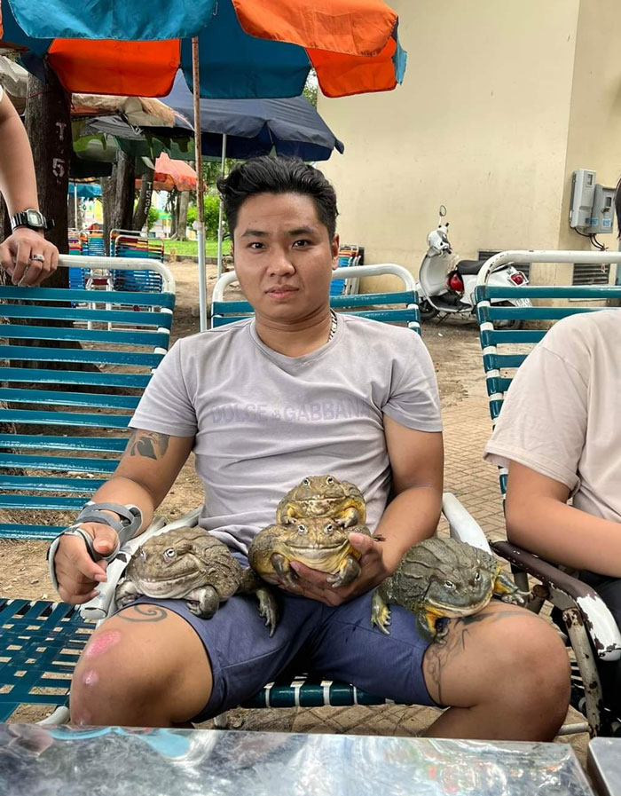 A Vietnamese Guy With His African Bullfrogs