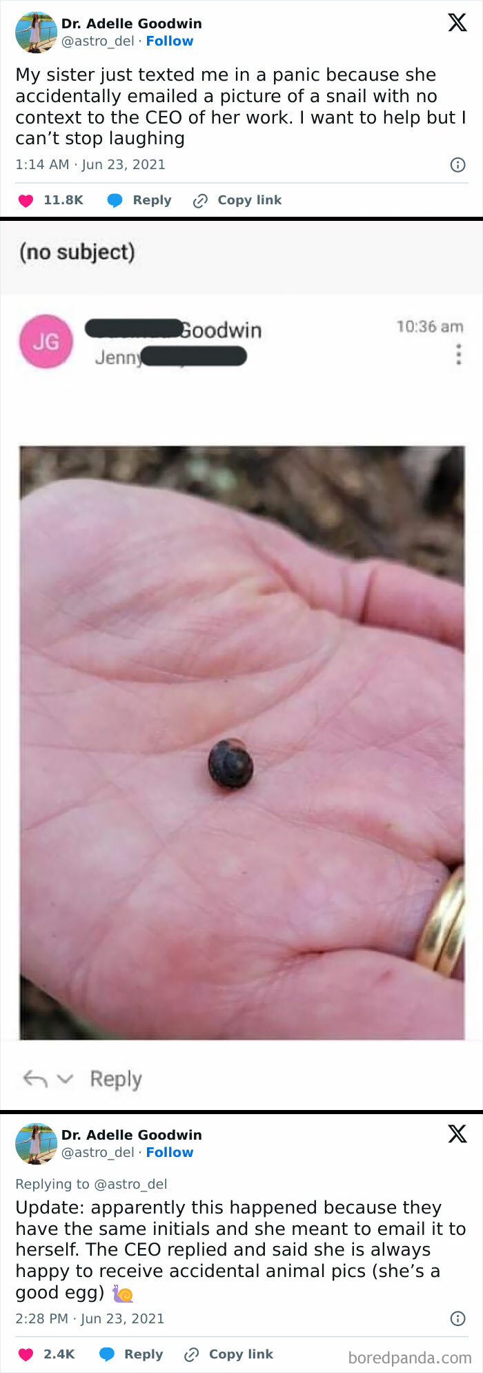 I Lost It At "(No Subject)"