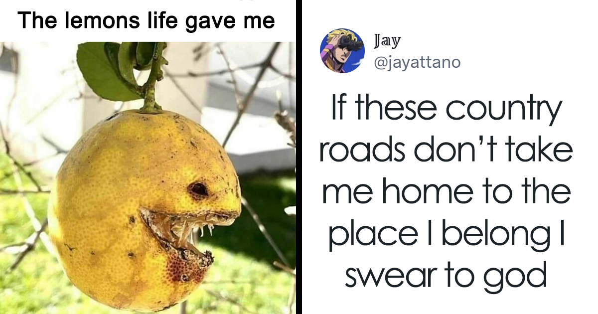 9 Out Of 10 Therapists Approve: 50 Funny And Relatable Memes For Mental Health | Bored Panda 