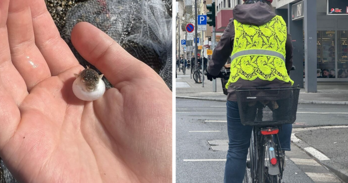 50 Very Random Pics To Bring A Sprinkle Of Joy Into Your Life