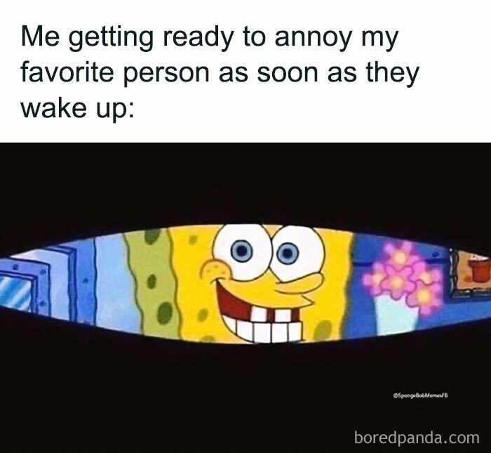 SpongeBob peeking through blinds with a cheeky grin, relating to waking someone up, encapsulating relatable memes.