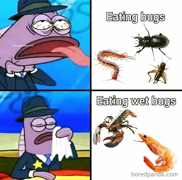 SpongeBob meme with a fish character reacting to dry and wet bugs humorously.