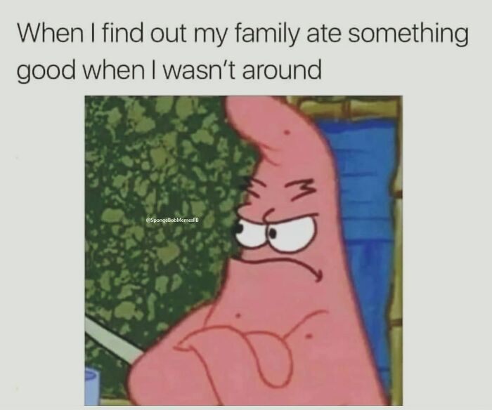 SpongeBob meme with an annoyed character expression, representing hilariously relatable family moments.