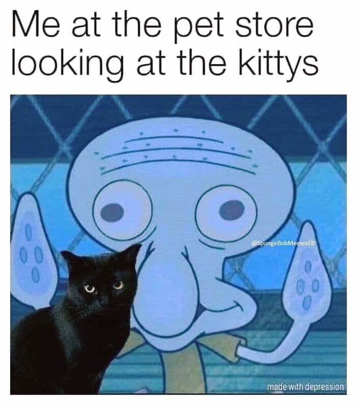 Squidward with a funny expression beside a black cat, depicting relatable SpongeBob meme humor.