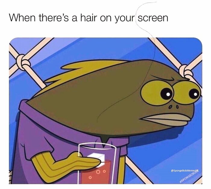 SpongeBob meme featuring an annoyed fish character with a hair on a screen moment.