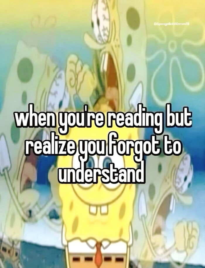 SpongeBob meme about forgetting to understand what you read, featuring a funny expression.