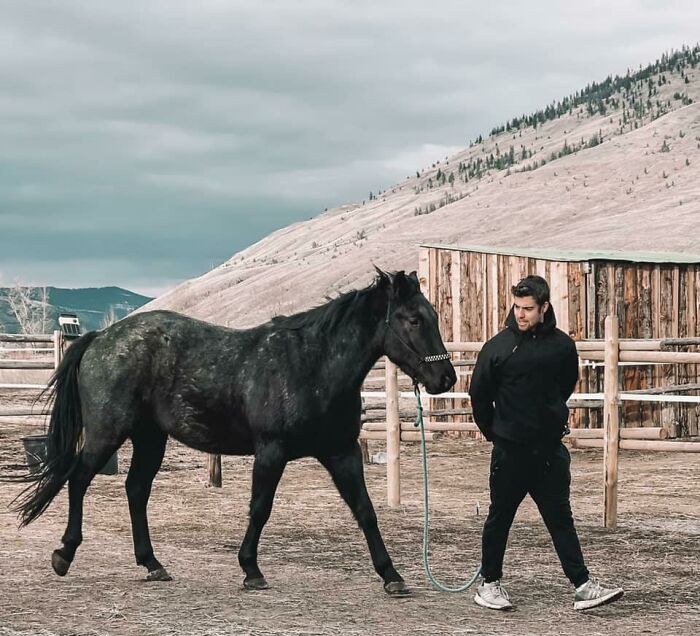 A Special Bond Between A Rescue Horse And His Owner&rsquo;s Fianc&eacute; Is Melting Hearts On The Internet