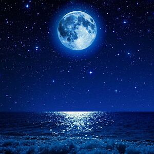 adalinagutierrez avatar