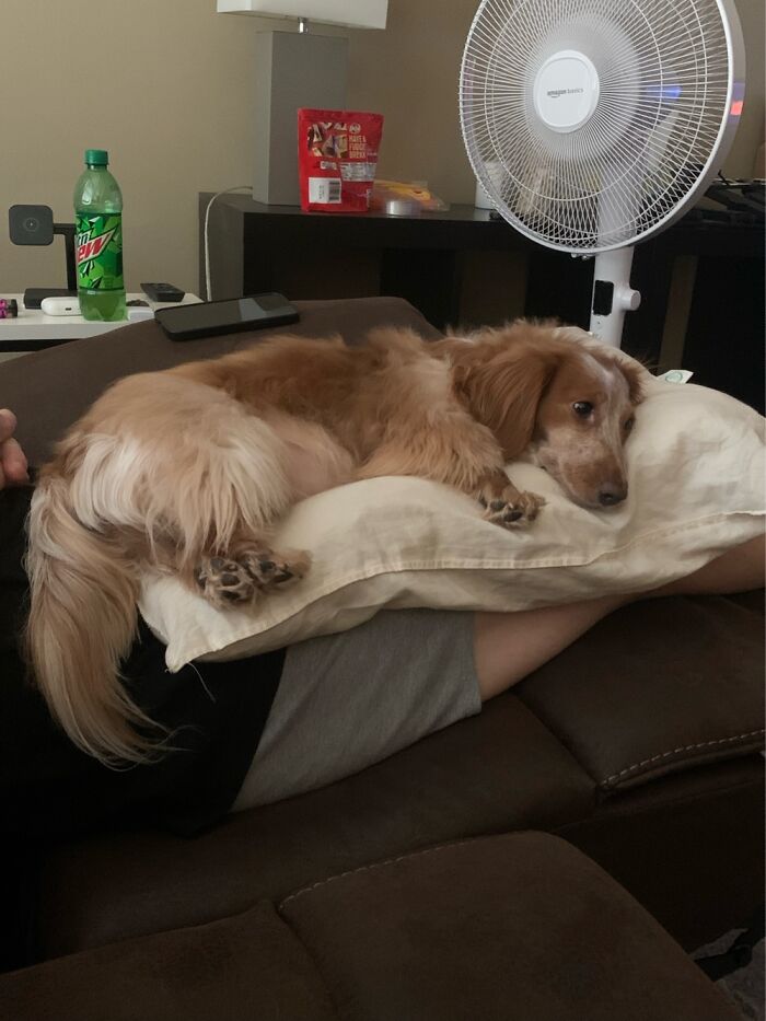 Lakoda My Sweet Girl