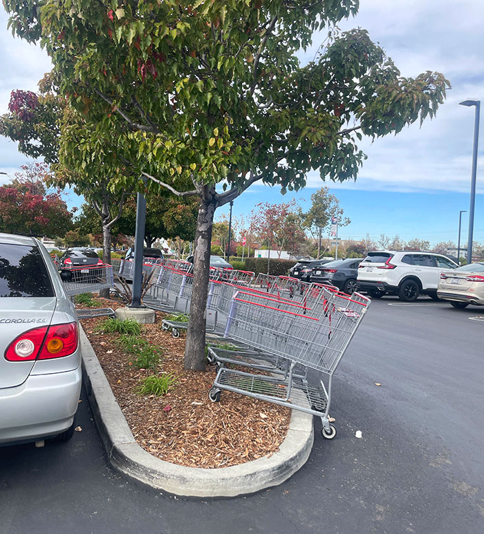 All The Lazy Shoppers Who Can’t Afford To Spend An Extra Minute To Put Their Cart Away