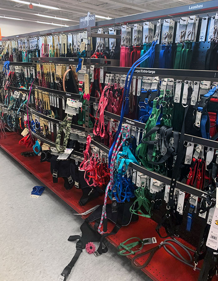 This Is How Customers Storm Through Our Collars And Leads. Don’t Let This Be You. Just Put Things Back Where You Find Them