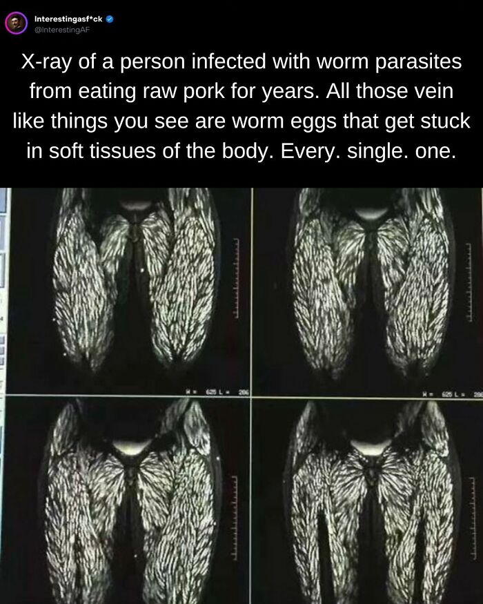 Interesting-Educational-Facts