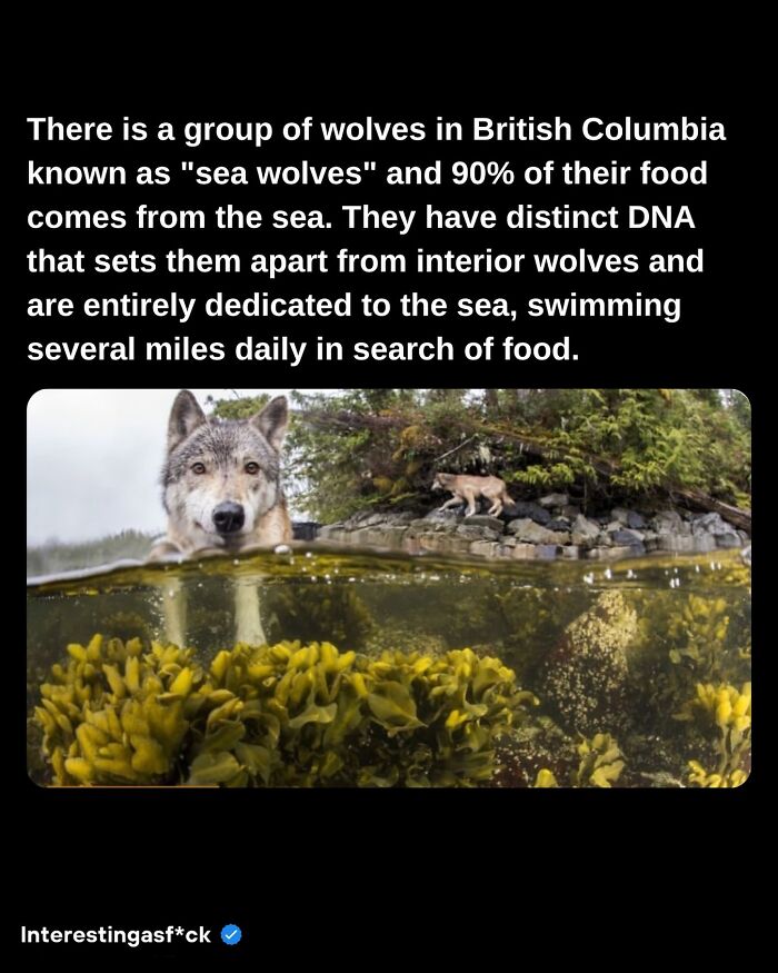 Interesting-Educational-Facts