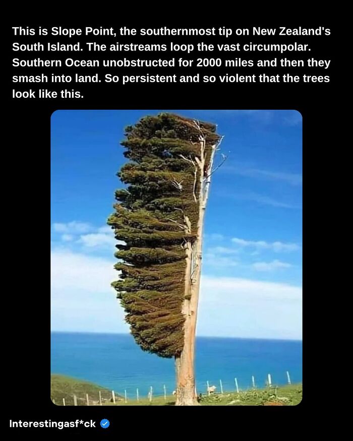 Interesting-Educational-Facts