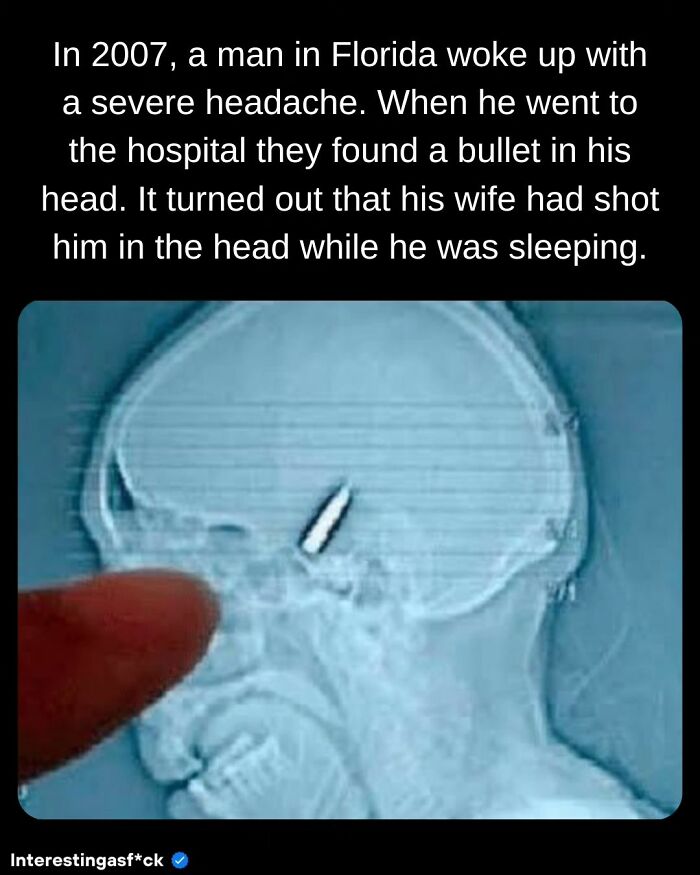 Interesting-Educational-Facts