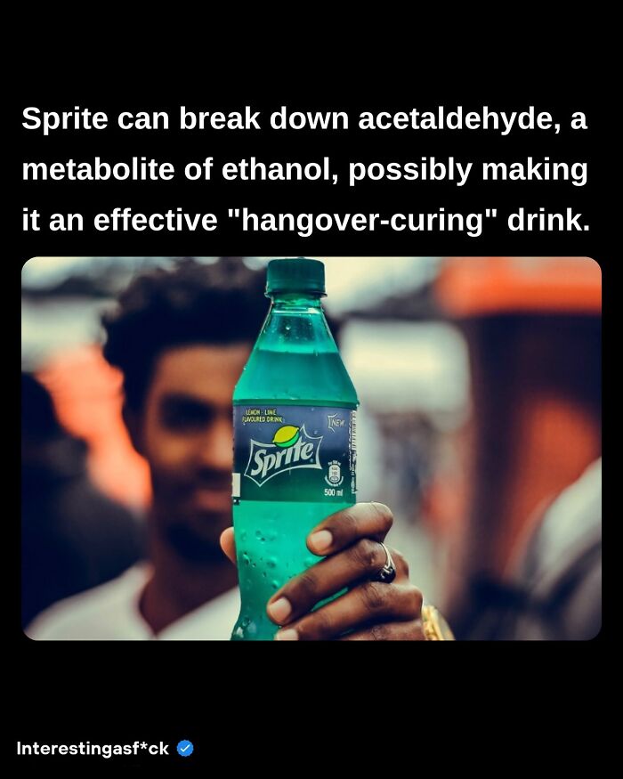 Interesting-Educational-Facts