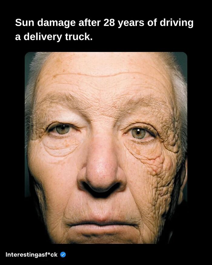 Interesting-Educational-Facts