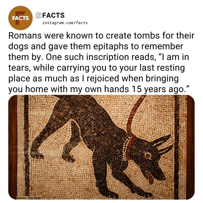 Interesting-Unknown-Facts