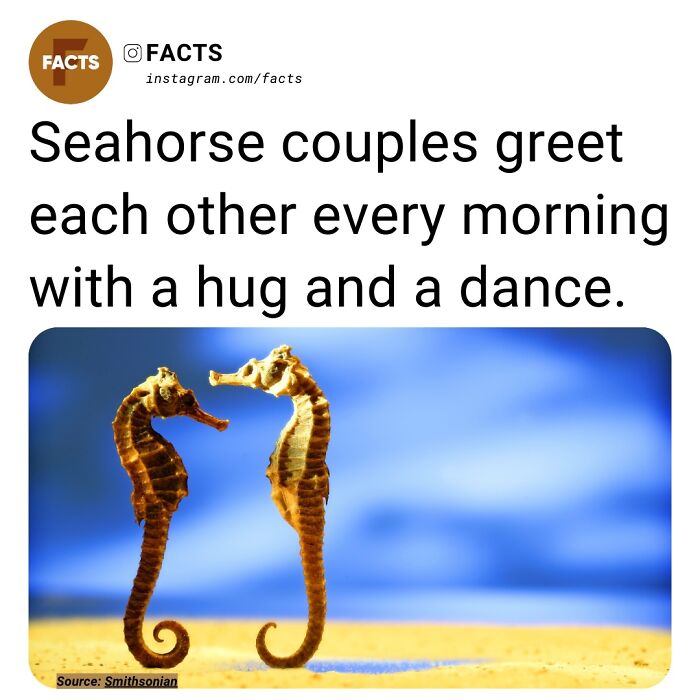 Interesting-Unknown-Facts