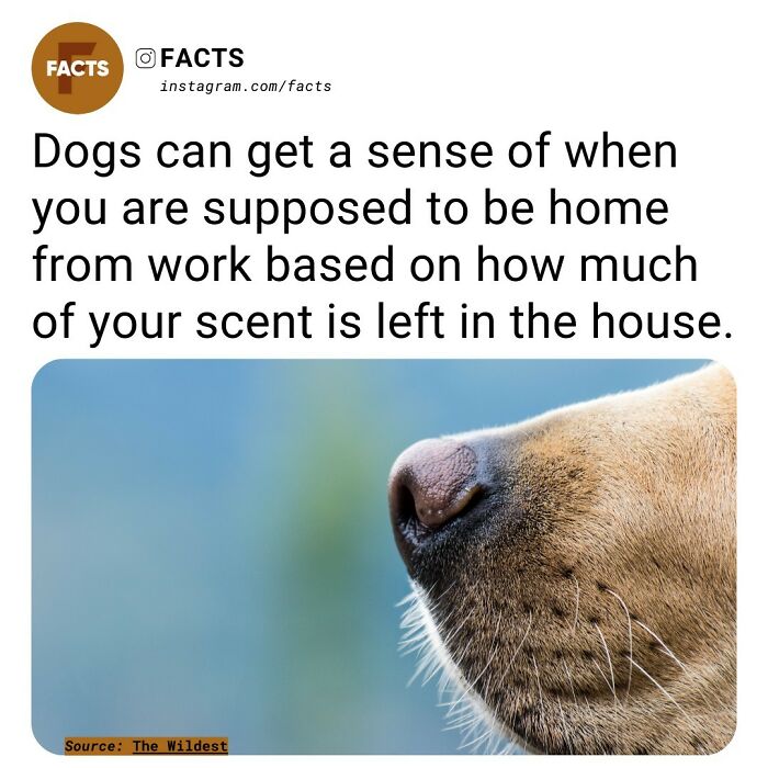 Interesting-Unknown-Facts