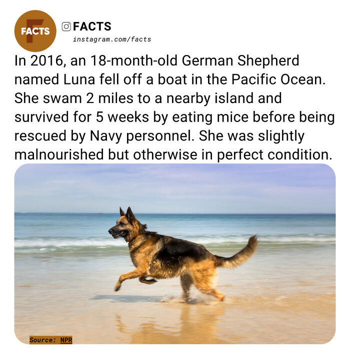 Interesting-Unknown-Facts