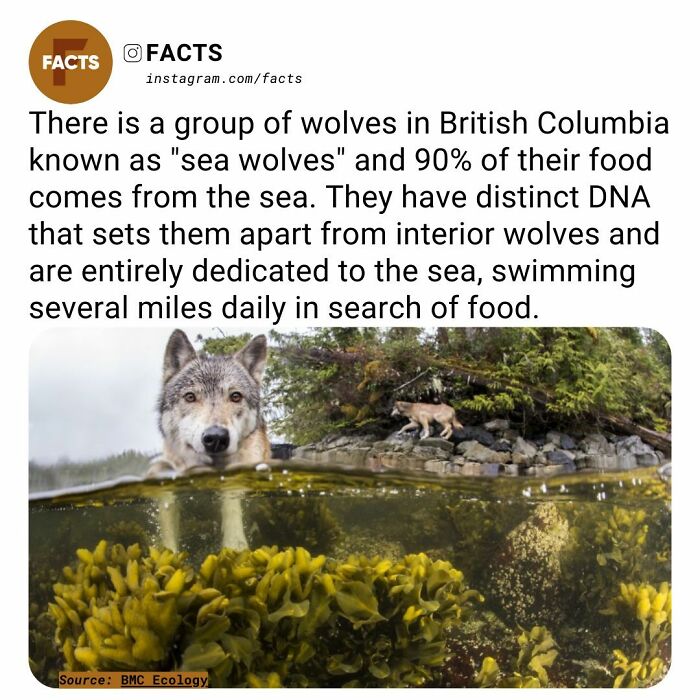 Interesting-Unknown-Facts