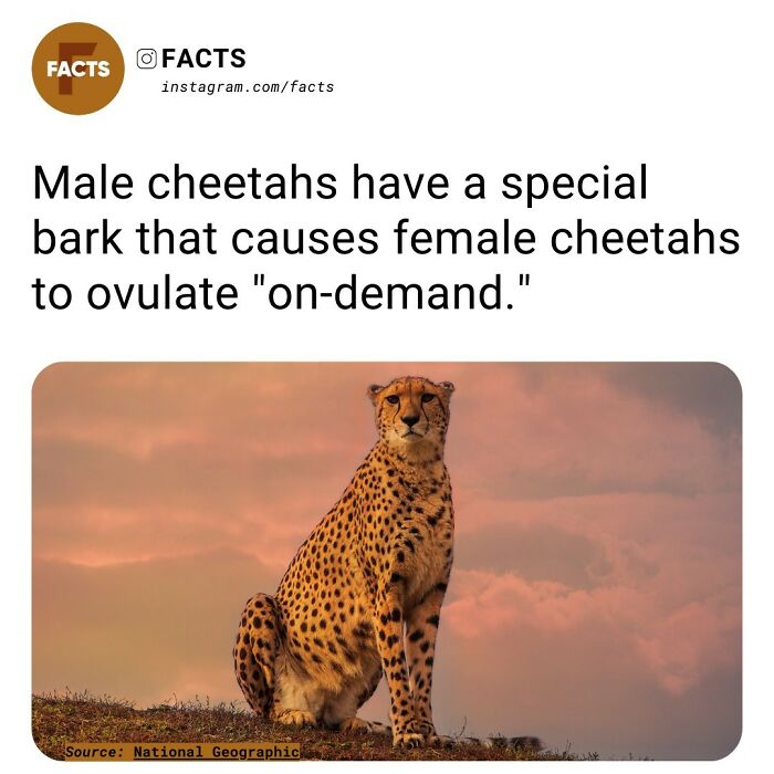 Interesting-Unknown-Facts